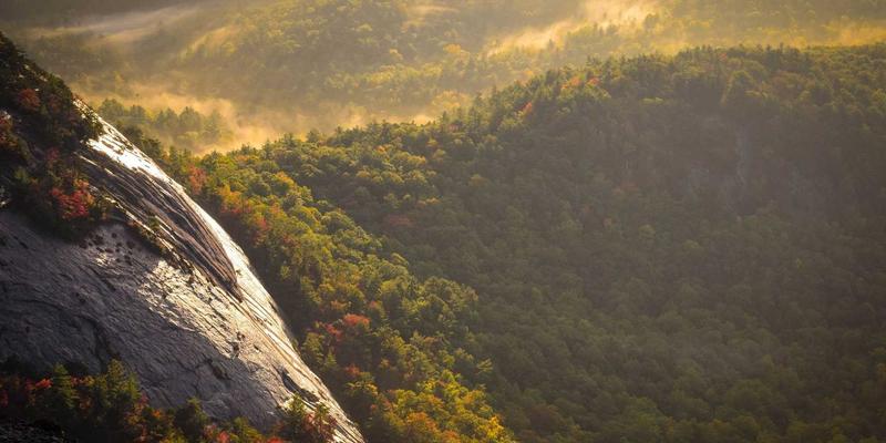 Chemical Peel Cost UK 2026: Prices by Peel Depth, Course Costs and What to Expect