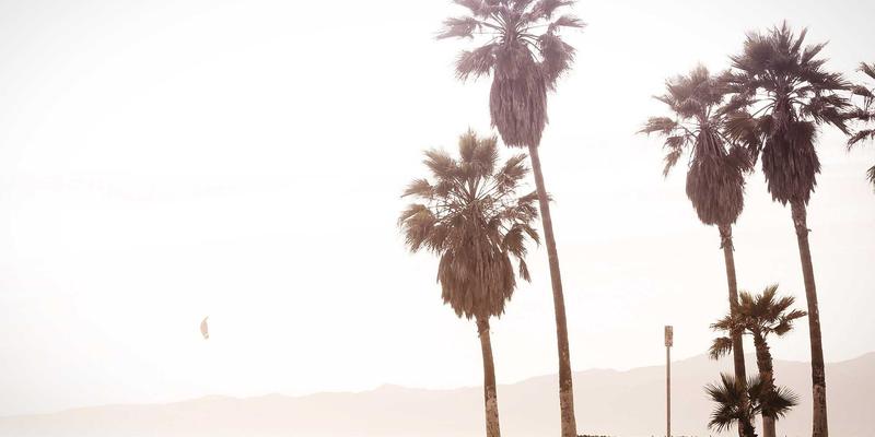 Facial Aesthetics from a Dentist vs a Beauty Salon: What's the Difference?