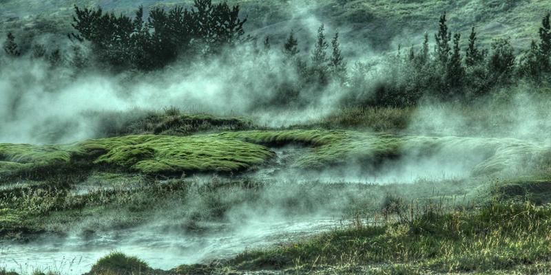 Dentist vs Nurse Injector: Who Should Administer Your Facial Aesthetics?