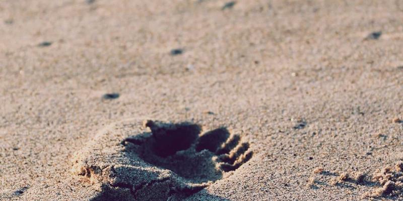 Is Facial Aesthetics Regulated in the UK? The Current Framework, the Gaps and How to Protect Yourself