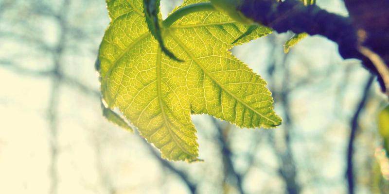 Profhilo Cost UK 2026: Prices & Guide