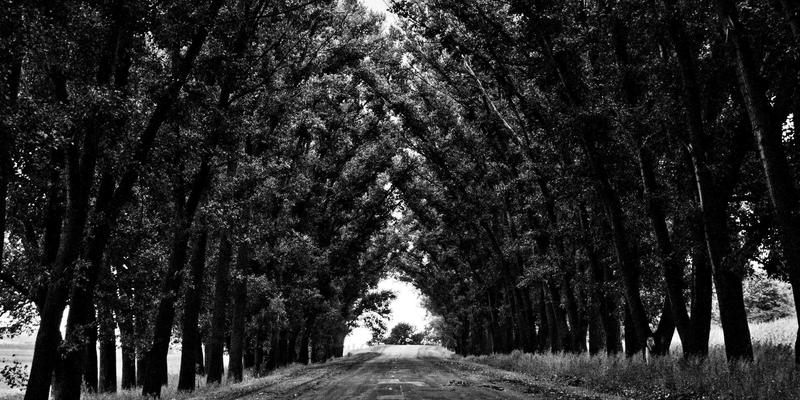 5 Questions to Ask Before Getting Lip Fillers