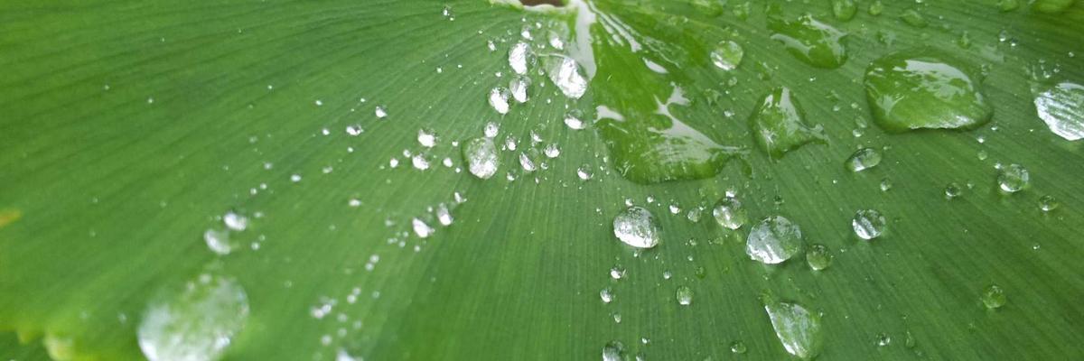 Facial aesthetics clinics in Birmingham