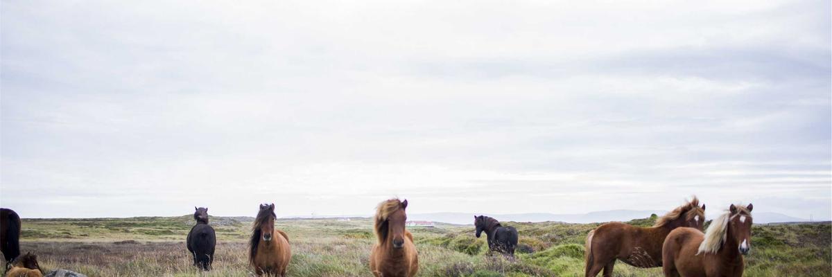 Facial aesthetics clinics in Derby