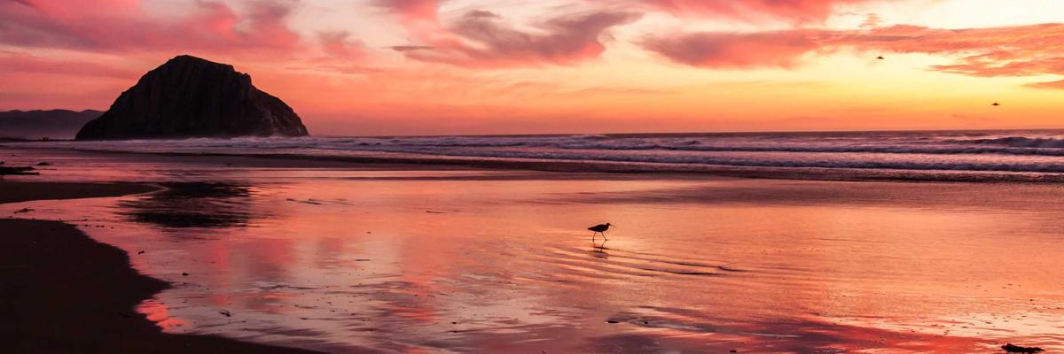 Facial aesthetics clinics in Dundee