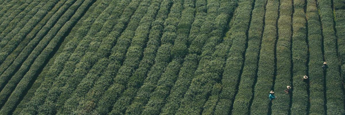 Facial aesthetics clinics in Edinburgh