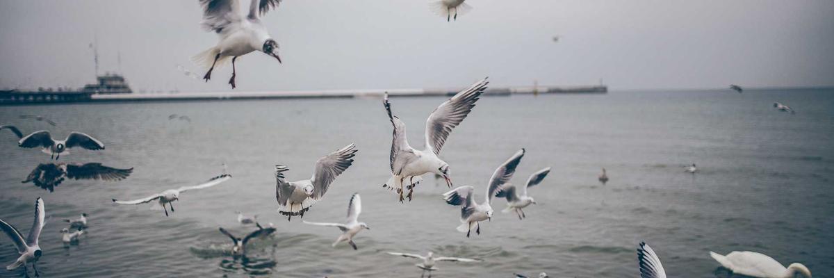 Facial aesthetics clinics in Glasgow