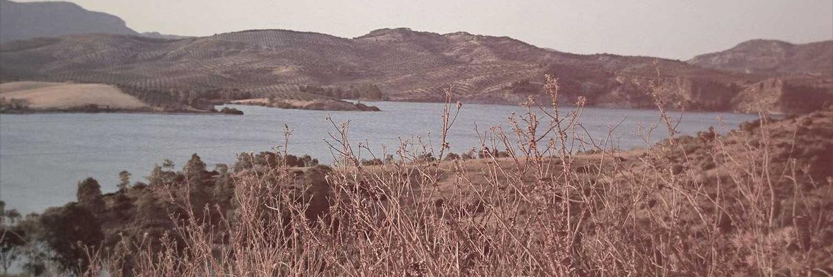 Facial aesthetics clinics in Plymouth