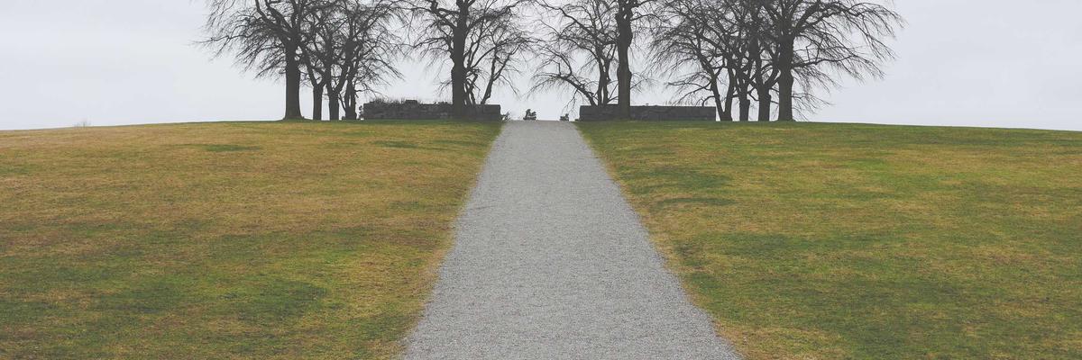 Facial aesthetics clinics in Sunderland