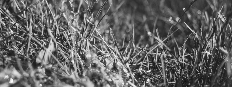 Chemical Peels guide